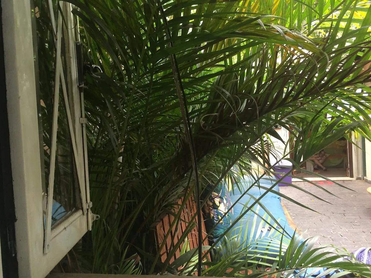 Hostel Sao Paulo Backpackers